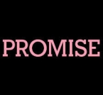 Logo Franquicia Promise